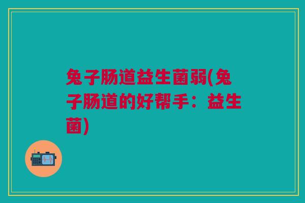 兔子肠道益生菌弱(兔子肠道的好帮手:益生菌)