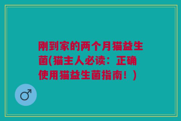 刚到家的两个月猫益生菌(猫主人必读:正确使用猫益生菌指南!) 刚到家的两个月猫益生菌(猫主人必读:正确使用猫益生菌指南!)