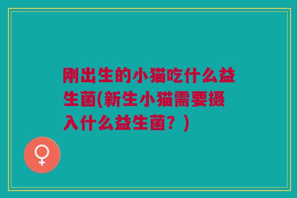 刚出生的小猫吃什么益生菌(新生小猫需要摄入什么益生菌?)