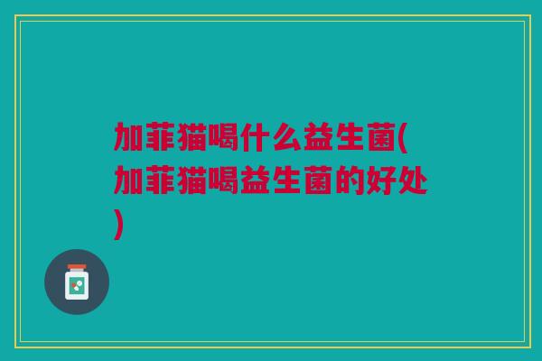 加菲猫喝什么益生菌(加菲猫喝益生菌的好处)