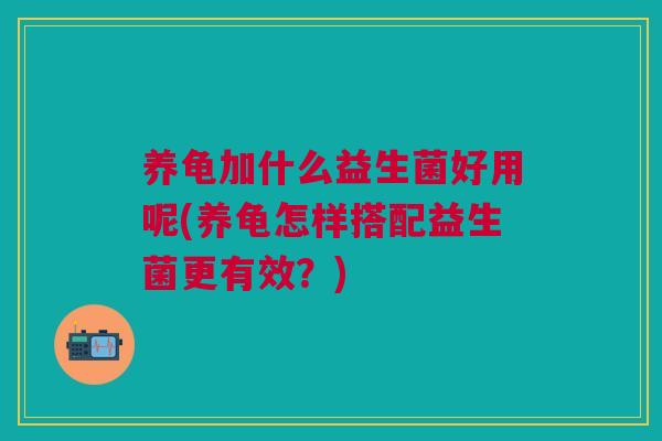 养龟加什么益生菌好用呢(养龟怎样搭配益生菌更有效?)