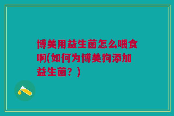博美用益生菌怎么喂食啊(如何为博美狗添加益生菌?)