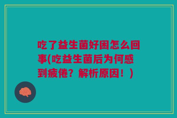 吃了益生菌好困怎么回事(吃益生菌后为何感到疲倦?解析原因!)
