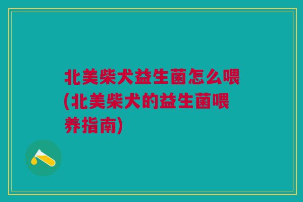 北美柴犬益生菌怎么喂(北美柴犬的益生菌喂养指南) 北美柴犬益生菌怎么喂(北美柴犬的益生菌喂养指南)