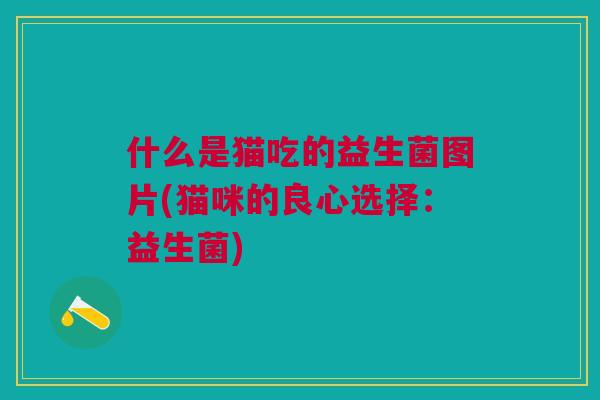 什么是猫吃的益生菌图片(猫咪的良心选择:益生菌)