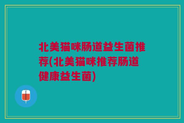 北美猫咪肠道益生菌推荐(北美猫咪推荐肠道健康益生菌)