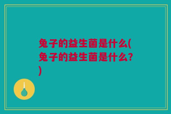 兔子的益生菌是什么(兔子的益生菌是什么?)
