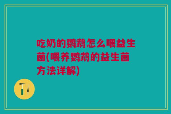 吃奶的鹦鹉怎么喂益生菌(喂养鹦鹉的益生菌方法详解) 吃奶的鹦鹉怎么喂益生菌(喂养鹦鹉的益生菌方法详解)