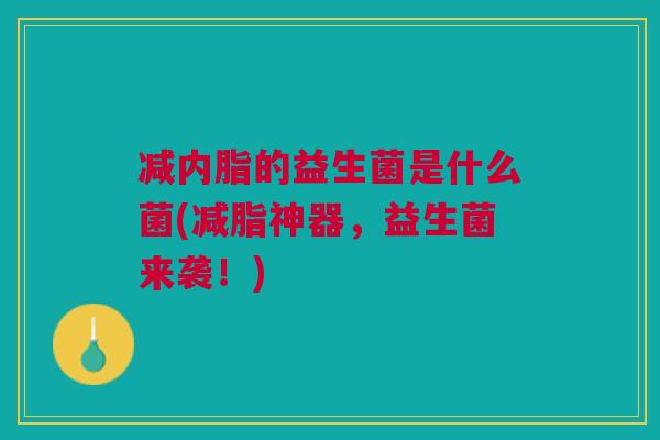 减内脂的益生菌是什么菌(减脂神器,益生菌来袭!) 减内脂的益生菌是什么菌(减脂神器,益生菌来袭!)