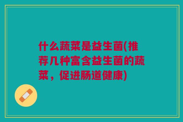 什么蔬菜是益生菌(推荐几种富含益生菌的蔬菜,促进肠道健康)