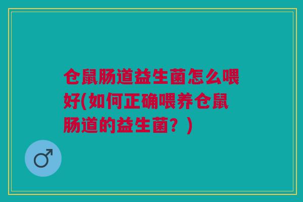 仓鼠肠道益生菌怎么喂好(如何正确喂养仓鼠肠道的益生菌?)