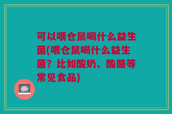 可以喂仓鼠喝什么益生菌(喂仓鼠喝什么益生菌?比如酸奶、酸酪等常见食品)
