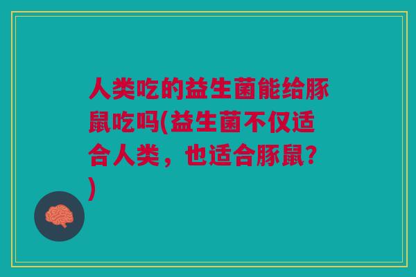 人类吃的益生菌能给豚鼠吃吗(益生菌不仅适合人类,也适合豚鼠?) 人类吃的益生菌能给豚鼠吃吗(益生菌不仅适合人类,也适合豚鼠?)