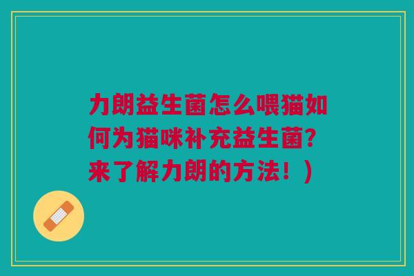 力朗益生菌怎么喂猫如何为猫咪补充益生菌?来了解力朗的方法!)