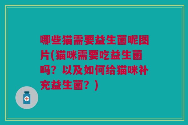 哪些猫需要益生菌呢图片(猫咪需要吃益生菌吗?以及如何给猫咪补充益生菌?) 哪些猫需要益生菌呢图片(猫咪需要吃益生菌吗?以及如何给猫咪补充益生菌?)