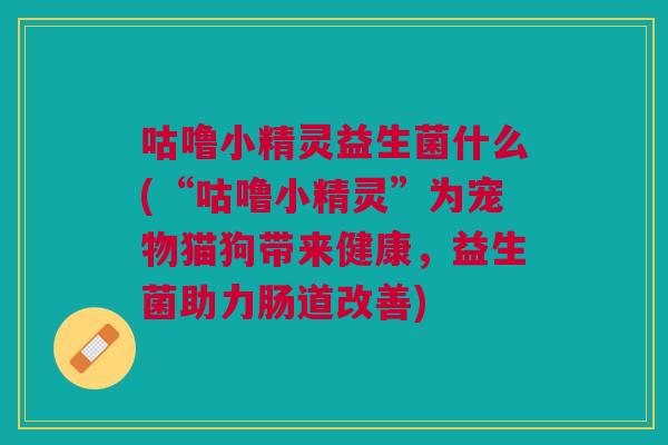 咕噜小精灵益生菌什么(“咕噜小精灵”为宠物猫狗带来健康,益生菌助力肠道改善)