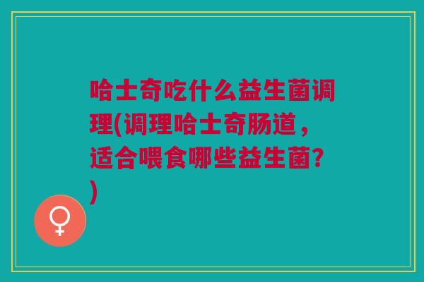 哈士奇吃什么益生菌调理(调理哈士奇肠道,适合喂食哪些益生菌?)