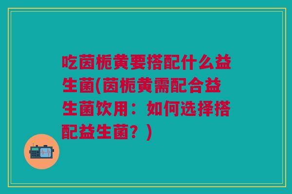 吃茵栀黄要搭配什么益生菌(茵栀黄需配合益生菌饮用:如何选择搭配益生菌?)
