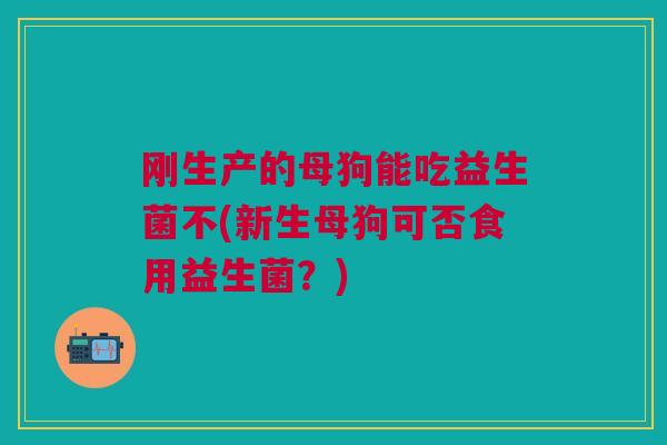 刚生产的母狗能吃益生菌不(新生母狗可否食用益生菌?)