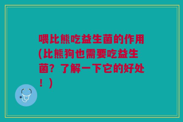 喂比熊吃益生菌的作用(比熊狗也需要吃益生菌?了解一下它的好处!) 喂比熊吃益生菌的作用(比熊狗也需要吃益生菌?了解一下它的好处!)
