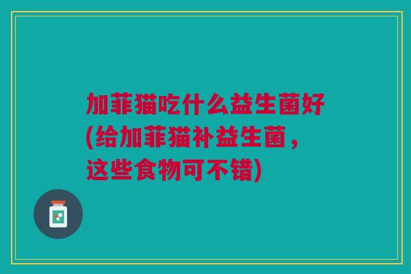 加菲猫吃什么益生菌好(给加菲猫补益生菌,这些食物可不错)