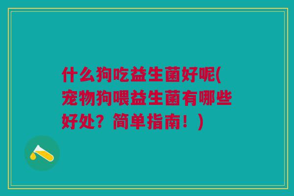 什么狗吃益生菌好呢(宠物狗喂益生菌有哪些好处？简单指南！)