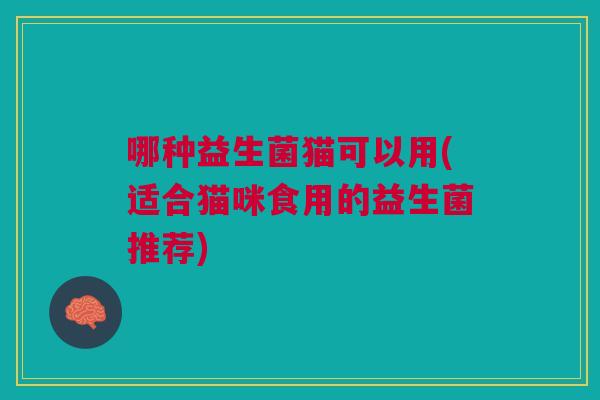 哪种益生菌猫可以用(适合猫咪食用的益生菌推荐)