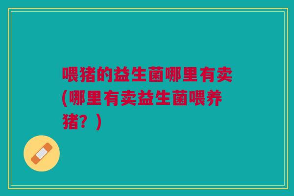 喂猪的益生菌哪里有卖(哪里有卖益生菌喂养猪?)