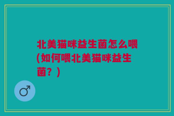 北美猫咪益生菌怎么喂(如何喂北美猫咪益生菌?)