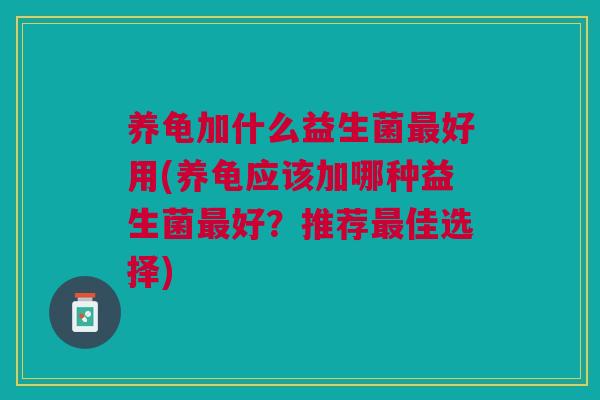 养龟加什么益生菌最好用(养龟应该加哪种益生菌最好?推荐最佳选择)