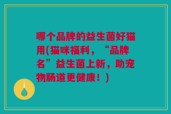 哪个品牌的益生菌好猫用(猫咪福利,“品牌名”益生菌上新,助宠物肠道更健康!)