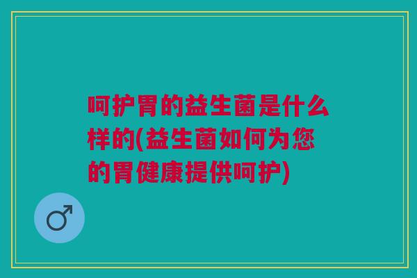 呵护胃的益生菌是什么样的(益生菌如何为您的胃健康提供呵护)