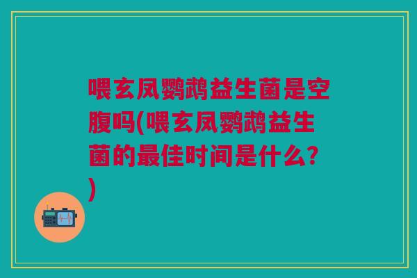 喂玄凤鹦鹉益生菌是空腹吗(喂玄凤鹦鹉益生菌的最佳时间是什么?)