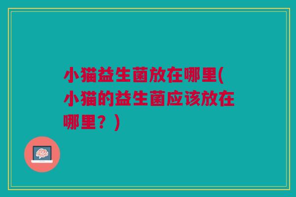 小猫益生菌放在哪里(小猫的益生菌应该放在哪里？)