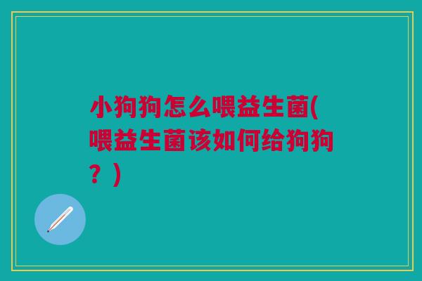 小狗狗怎么喂益生菌(喂益生菌该如何给狗狗？)