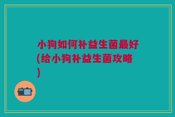 小狗如何补益生菌最好(给小狗补益生菌攻略)