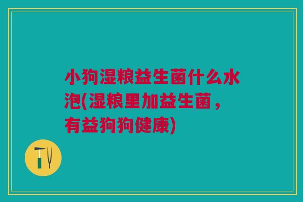 小狗湿粮益生菌什么水泡(湿粮里加益生菌，有益狗狗健康)