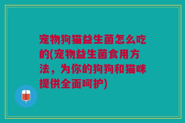 宠物狗猫益生菌怎么吃的(宠物益生菌食用方法，为你的狗狗和猫咪提供全面呵护)