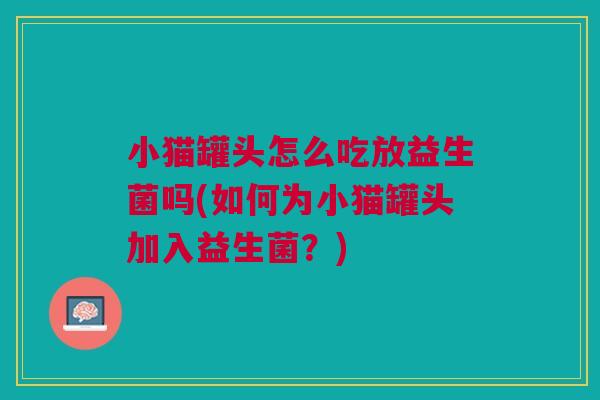 小猫罐头怎么吃放益生菌吗(如何为小猫罐头加入益生菌？)
