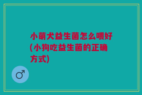 小萌犬益生菌怎么喂好(小狗吃益生菌的正确方式)