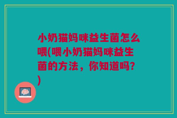小奶猫妈咪益生菌怎么喂(喂小奶猫妈咪益生菌的方法,你知道吗?) 小奶猫妈咪益生菌怎么喂(喂小奶猫妈咪益生菌的方法,你知道吗?)