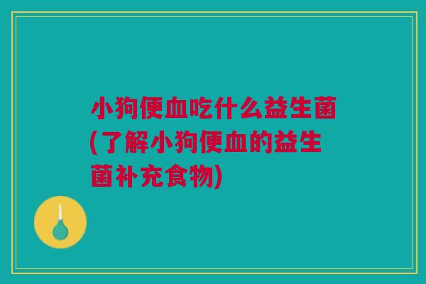小狗便血吃什么益生菌(了解小狗便血的益生菌补充食物)