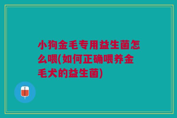 小狗金毛专用益生菌怎么喂(如何正确喂养金毛犬的益生菌)