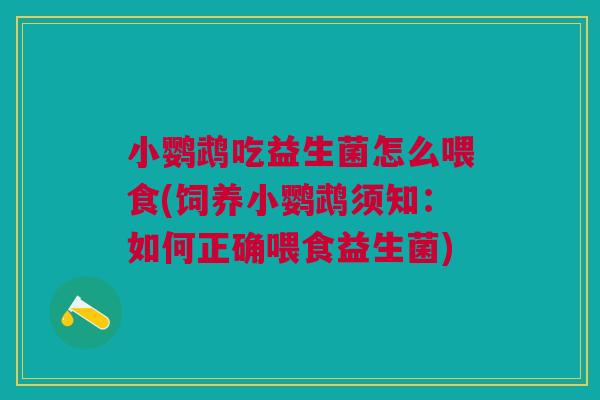 小鹦鹉吃益生菌怎么喂食(饲养小鹦鹉须知：如何正确喂食益生菌)