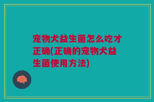 宠物犬益生菌怎么吃才正确(正确的宠物犬益生菌使用方法)