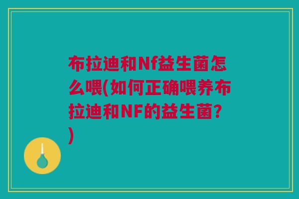布拉迪和Nf益生菌怎么喂(如何正确喂养布拉迪和NF的益生菌？)