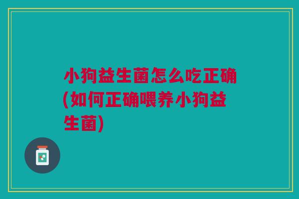 小狗益生菌怎么吃正确(如何正确喂养小狗益生菌)