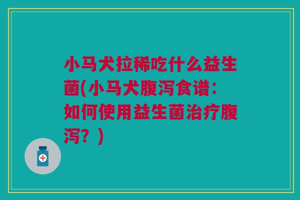 小马犬拉稀吃什么益生菌(小马犬腹泻食谱：如何使用益生菌治疗腹泻？)