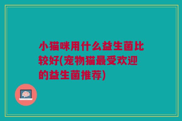 小猫咪用什么益生菌比较好(宠物猫最受欢迎的益生菌推荐)