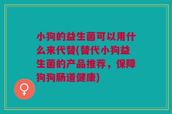 小狗的益生菌可以用什么来代替(替代小狗益生菌的产品推荐，保障狗狗肠道健康)